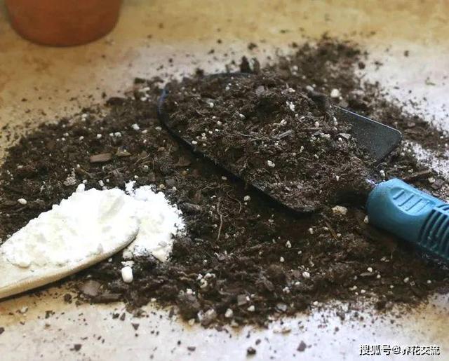 不用的生活用品，用来养花，再合适不过