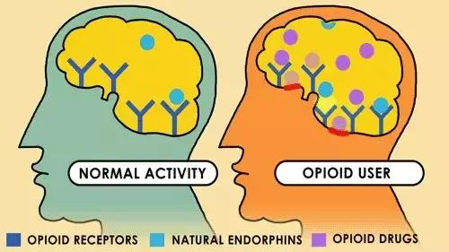 戒毒|号称复吸率只有10%的“开颅脑科戒毒手术”，为什么被紧急叫停？