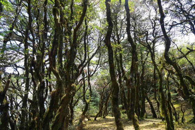 【世界那么大】走进大姚桂花镇 体味满满的原生态彝家生活
