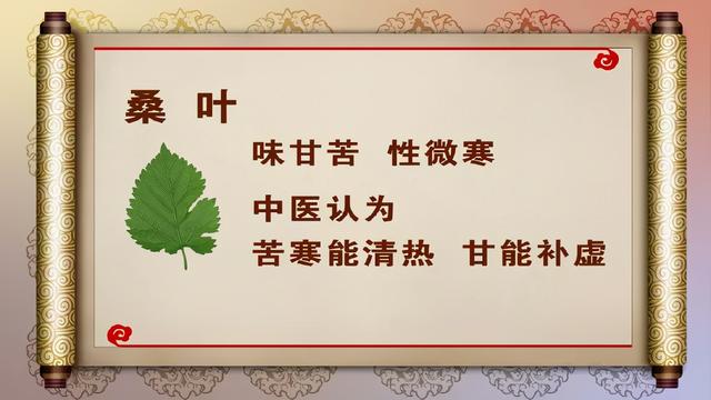 桑叶|人过中年，血液浓稠！老中医吃它10年，清肝降压，血栓绕道走