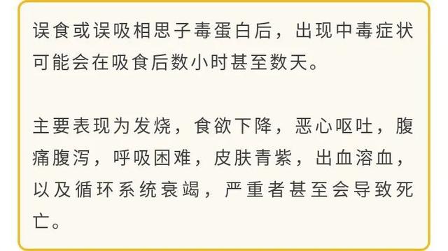 好看，但有剧毒！微博大V纷纷提醒：这种&quot;红豆&quot;千万别吃！