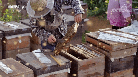 《航拍中国》第三季起航,在飞云之下找寻浪漫情怀影视交流地