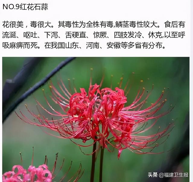 中毒|7人中毒1人死亡！福建疾控紧急提醒