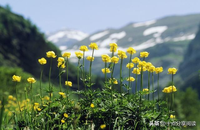 让孩子赢在生命形成的一刹那