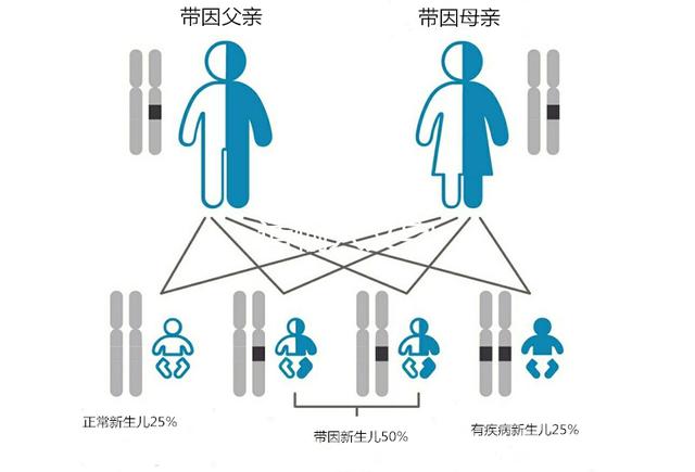 超级宝妈|遗传疾病影响整个家庭，孕前或产前检查，意义不一样