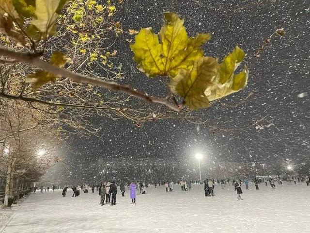 雪粉华，舞梨花，海天一色舞面纱！山东外事职业大学迎今冬首雪