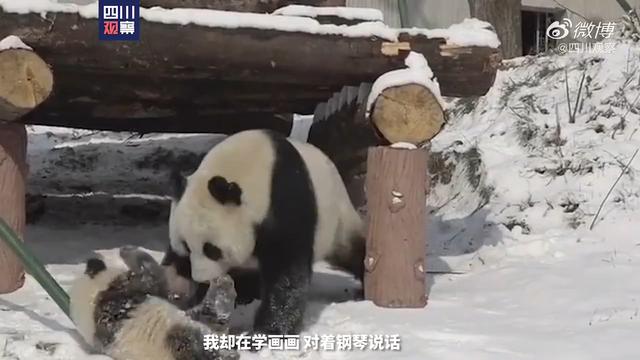 超级宝妈|这些萌宠们的亲子瞬间里，有你的童年记忆吗？