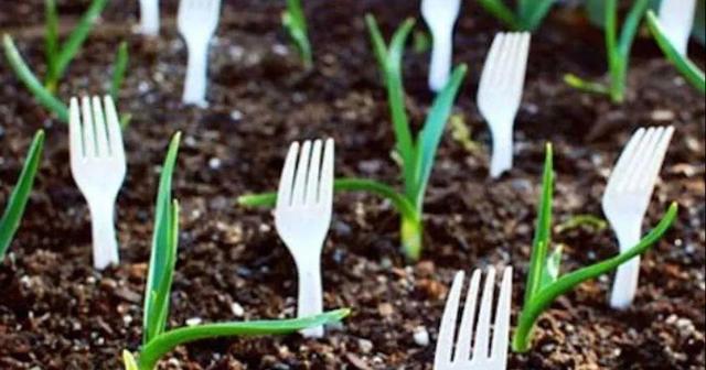 不用的生活用品，用来养花，再合适不过