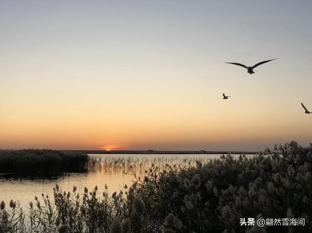 看淡生活的短句_诗句看淡生活的成语_看淡生活的诗句