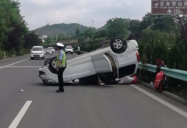 跑高速时遇到小动物，躲开还是撞上去？记不住别开车