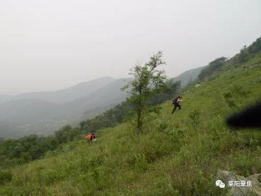 莱阳两座大山别有情