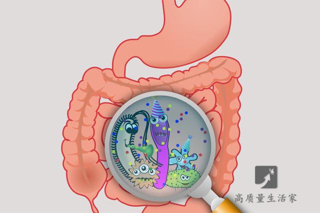 吃饭|屁多，是胃里的空气多？医生：并不是，小心4种病都来找你