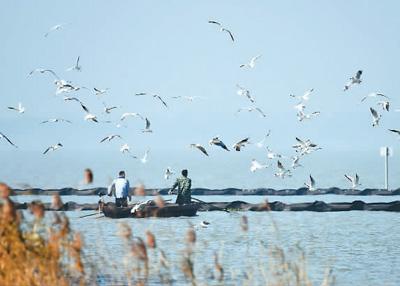 「人民网」漫步巢湖边