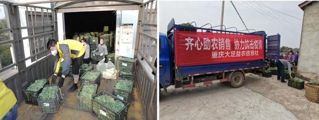 「新华网客户端」中国移动全力做好疫情防控期间扶贫攻坚工作