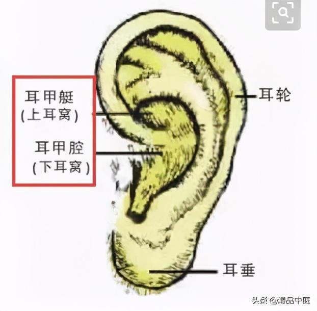 人体最神奇的一位地方，按一按，赶走各种病痛