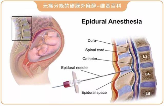 生孩子前根本没人告诉你的这些信息，我来告诉你