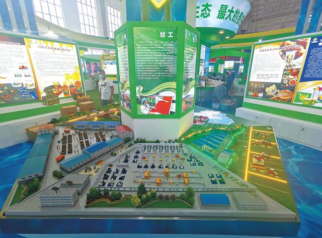 电动汽车|驰骋环湖，听绿色动能澎湃——写在第8 届环青海湖（国际）电动汽车挑战赛开幕之际