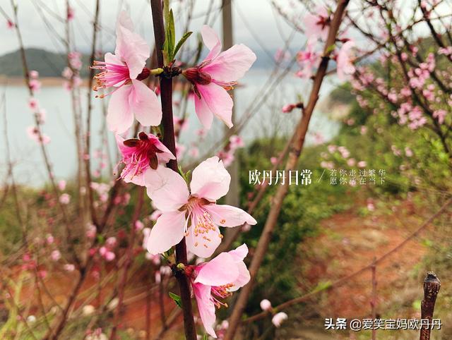 超级宝妈▲背诵就皱眉头?让孩子在玩中学习,学习中玩,轻松磨耳朵