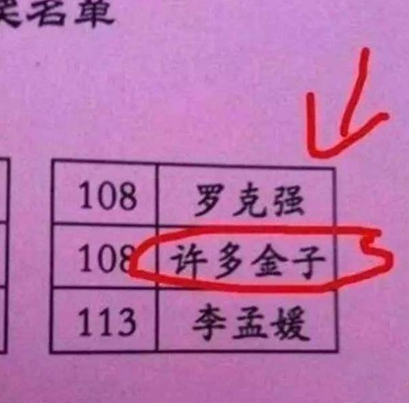 爸爸姓“母”，妈妈不愿龙凤胎随父姓，爷爷随口取名全家拍手叫好