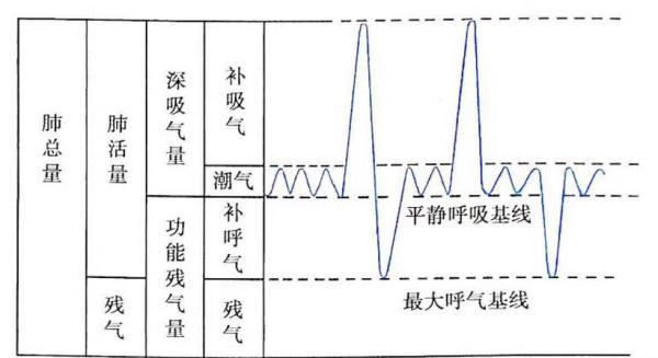 憋气试验自测能抵抗冠状病毒？实验结果告诉你