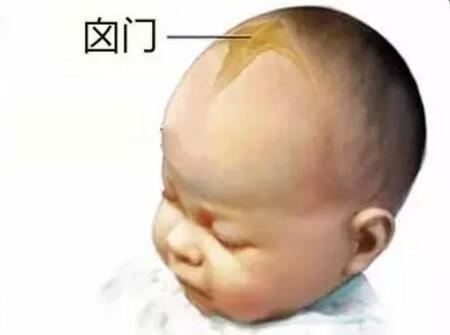 「健康学堂」新生儿囟门什么时候闭合?囟门有什么作用