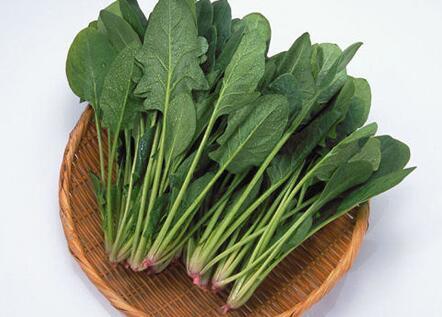 压力|这些食物能帮你缓解压力，大家可以试一试