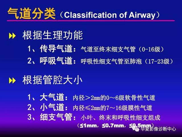 肺间质性疾病的解剖、病理、影像分析