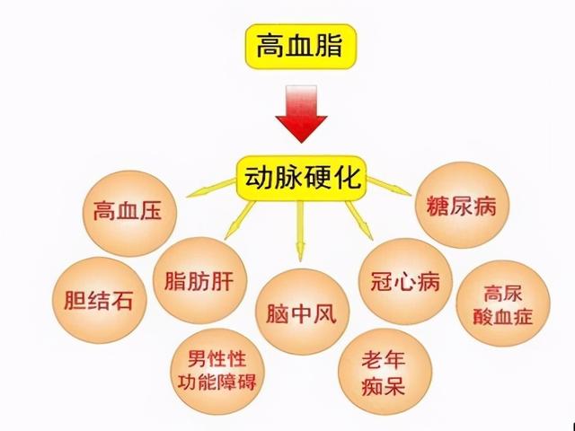 血脂高有什么症状，以及降血脂的‘六字真言’是什么？