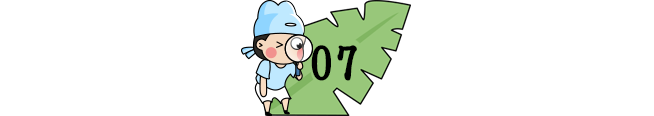 「夏以乔木」开学即期中！31个省市返校时间&暑假时间来了！复课第一个月，必须重视！（家长和孩子都读一读）
