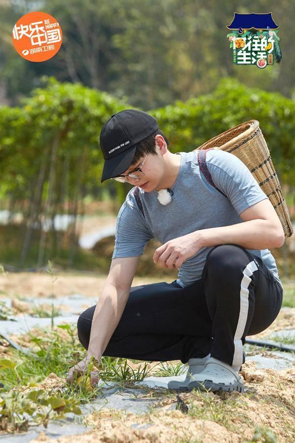 黄晓明《向往4》里“认真减肥”蘑菇屋中惊闻“再来一块”|环球网