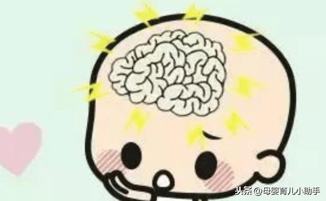 懵懂德年纪|胎儿大脑发育有3个黄金时间，孕妈把握住了，宝宝定会是高智商