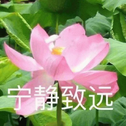 「细雨微凉」它是月子餐中绝佳的食材，浑身是宝，这3种做法更是金牌月嫂的首选！