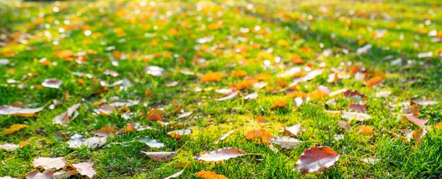 阴阳|“春捂秋冻”到底靠不靠谱？