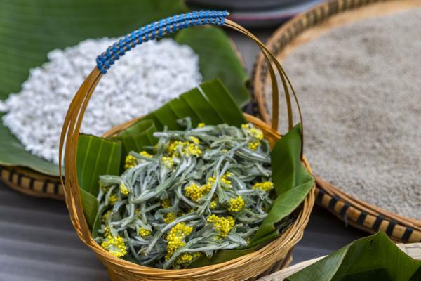 黄花|保山龙陵：清明“食”节，回味儿时那口香糯的黄花团子味