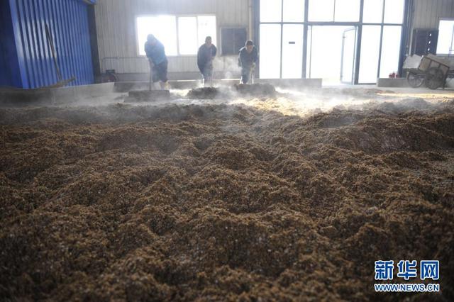 大黄米酒香飘冬日