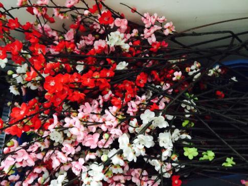 你的育儿经|当建构区搬到了户外,孩子能搭出一整个世界