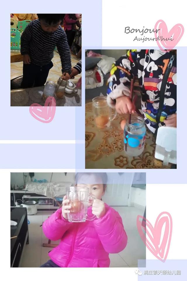 【你的育儿经】停课不停学 探究收获多