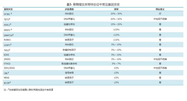 骨髓增生异常综合征中国诊断与治疗指南（2019年版）