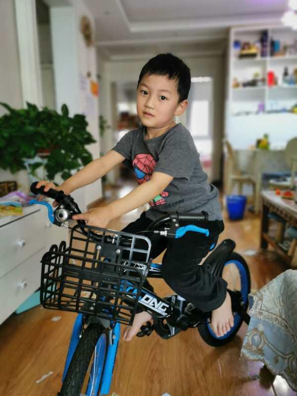 「超级宝妈」怀孕了，宠物要怎么处理