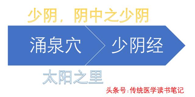 中医干货！想学经方，不会六经辨证，没法用！哪六经？三阳三阴