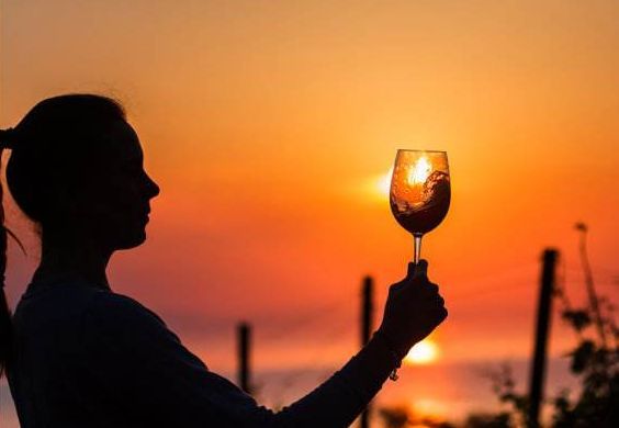 Life is Like Wine! (Deeply Moving Article)