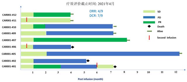 细胞|专访原启生物董事长杨焕凤：CAR-T治实体肿瘤为何选肝癌