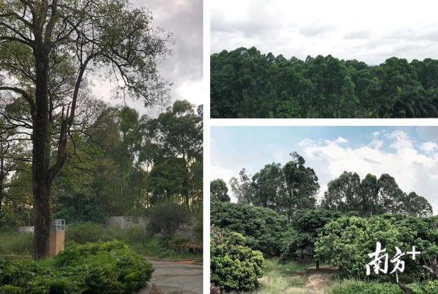 惊艳！松山湖这个地方将成湾区科技交流新地标
