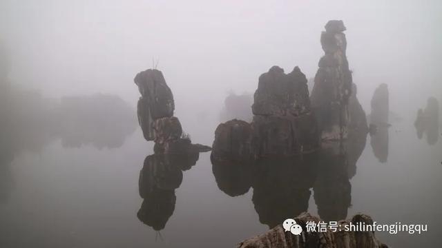 「趣旅游」【雾雪霜华】石林湖的白雾凉波