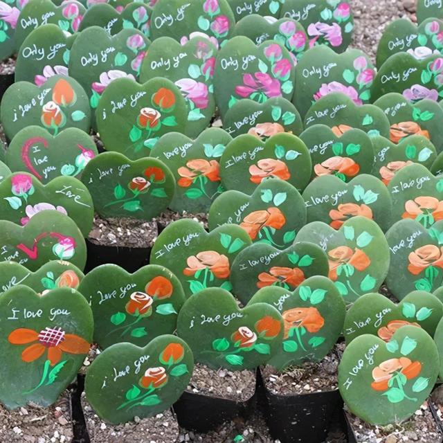 冬天就养耐阴花，没光也能开爆盆，扔角落自己疯长