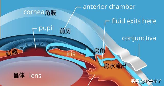 青光眼引起的视力下降一定不可以恢复吗？医生说：不一定