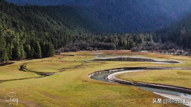 「旅行柚子君」镶嵌在高山森林之中的绿色宝石,这就是草湖