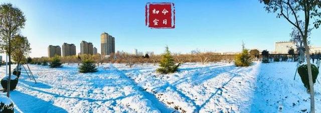 雪粉华，舞梨花，海天一色舞面纱！山东外事职业大学迎今冬首雪