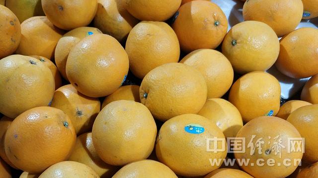 贫血|从绿色蔬菜到海鲜 这些食物有助于对抗缺铁性贫血