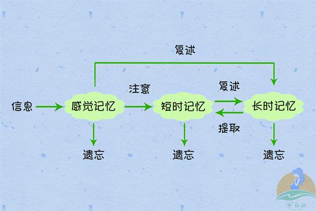 婴儿满三岁后“集体失忆”，宝宝究竟忘记了哪些事？过来人告诉你